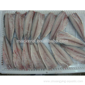 New Season Frozen Pacific Mackerel Fillet Fish